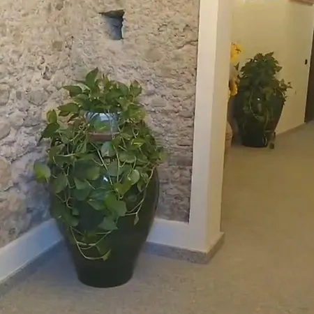 فندق مبيت وإفطار Gioiosa